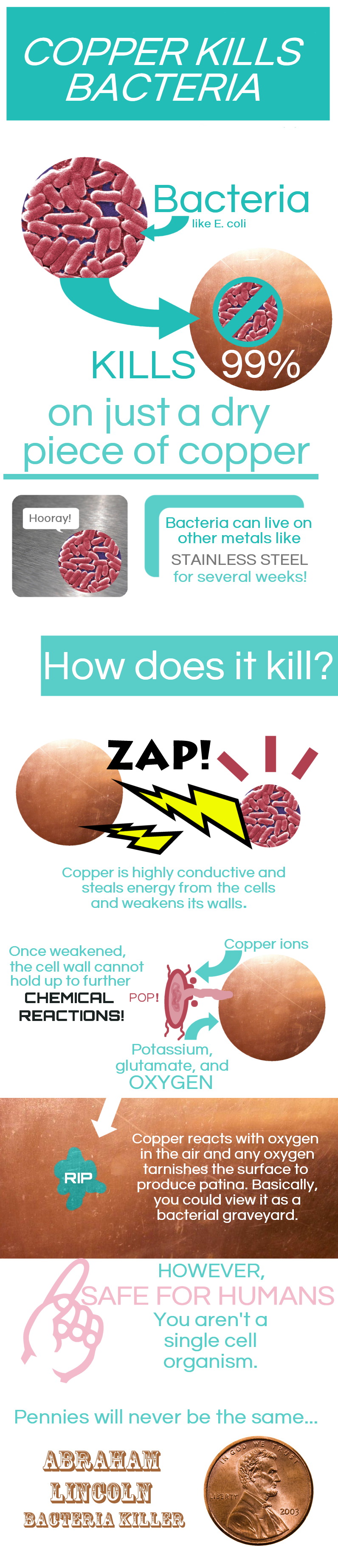 Copper -V- Bacteria